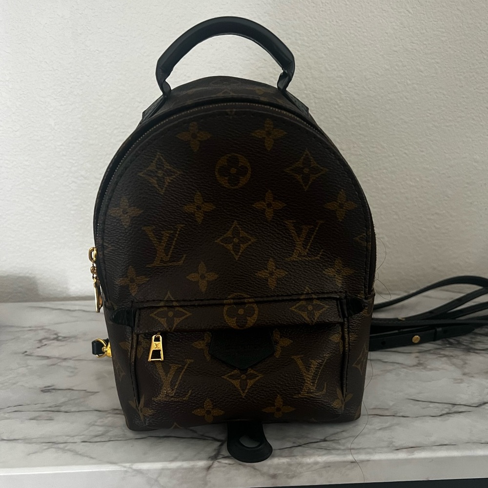 Louis Vuitton Palm Springs Mini
